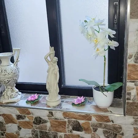 Lotus Homestay Hamrun